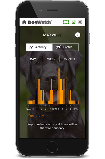Countryview Kennels LLC, Jackson, Tennessee | SmartFence WebApp Image