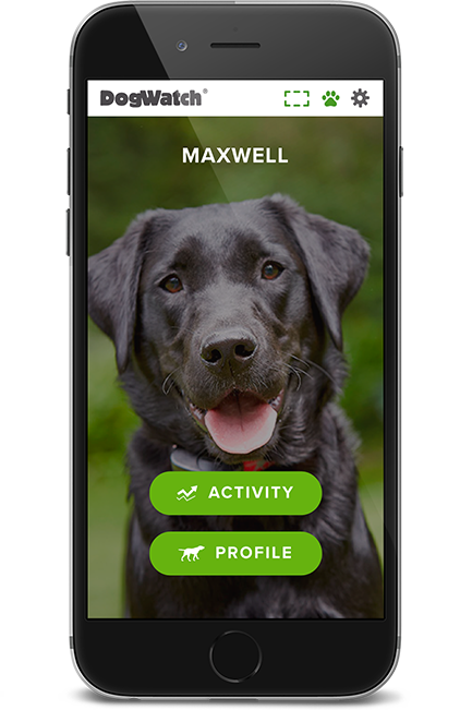 Countryview Kennels LLC, Jackson, Tennessee | SmartFence WebApp Image