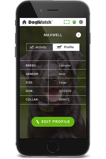 Countryview Kennels LLC, Jackson, Tennessee | SmartFence WebApp Image