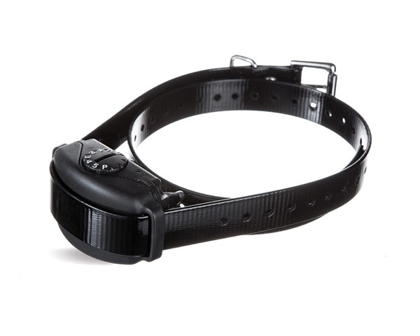 Countryview Kennels LLC, Jackson, Tennessee | BarkCollar No-Bark Trainer Product Image